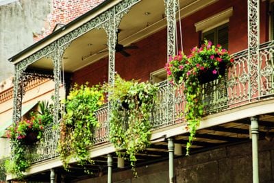 Leaves from flowering plants hang down from a balcony