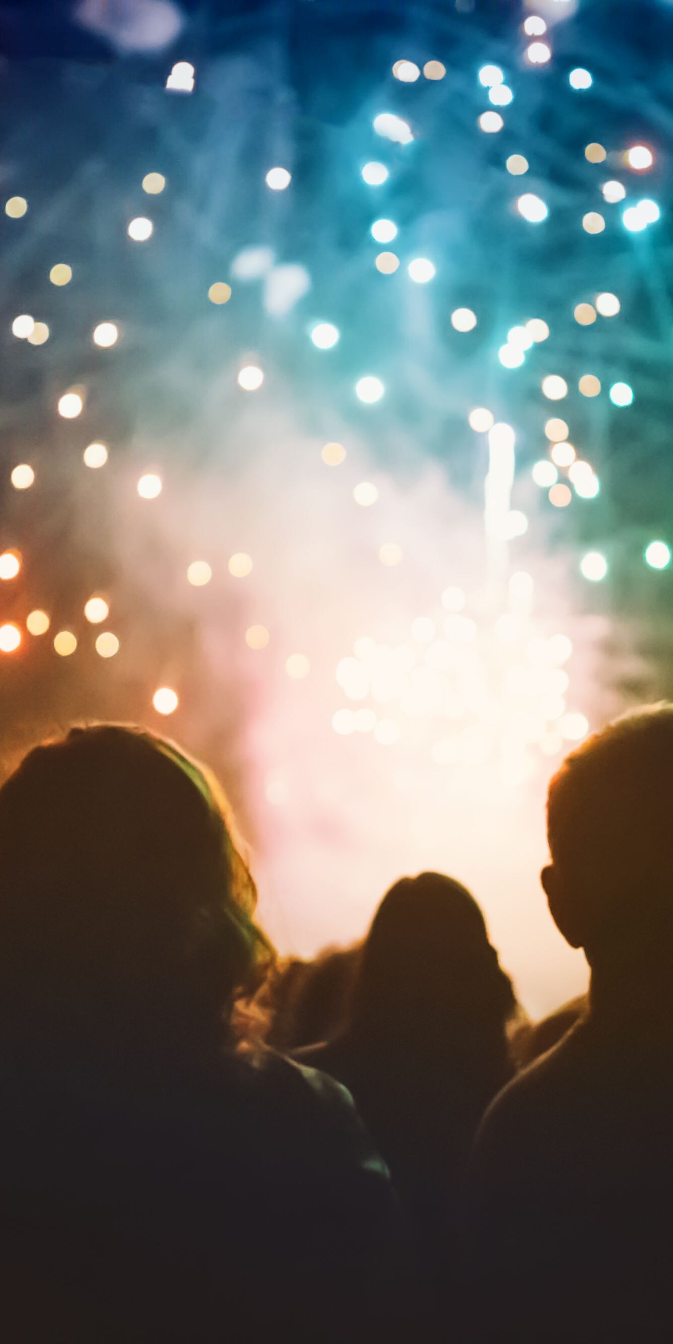 A crowd gazes at fireworks. 