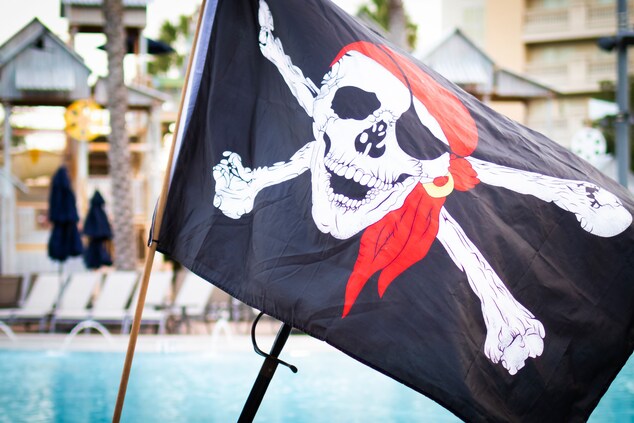 Pirate & Princess Flag poolside