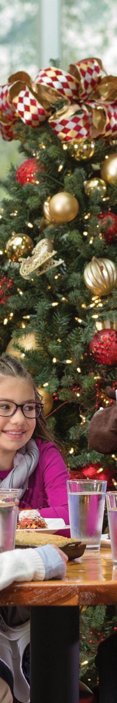 Family dining with holiday mascot and trees