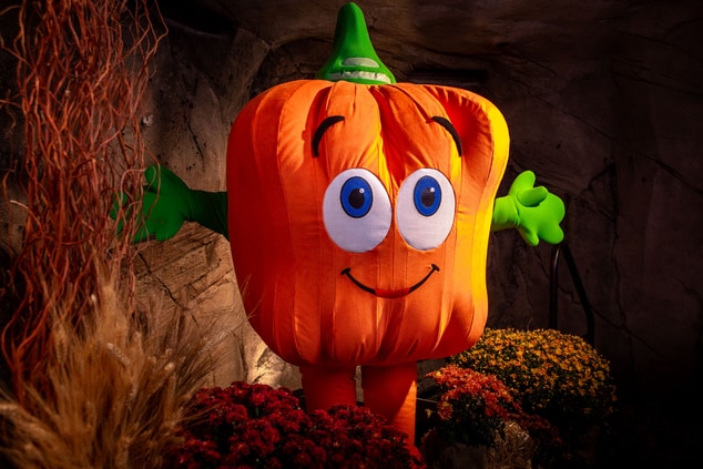 Spookley Pumpkin