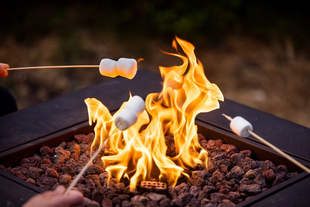 Roasting marshmallows on the fire