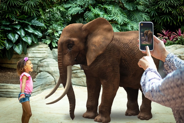 child and augmented reality elephant