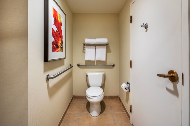 Bathroom with Toilet and Safety Bars