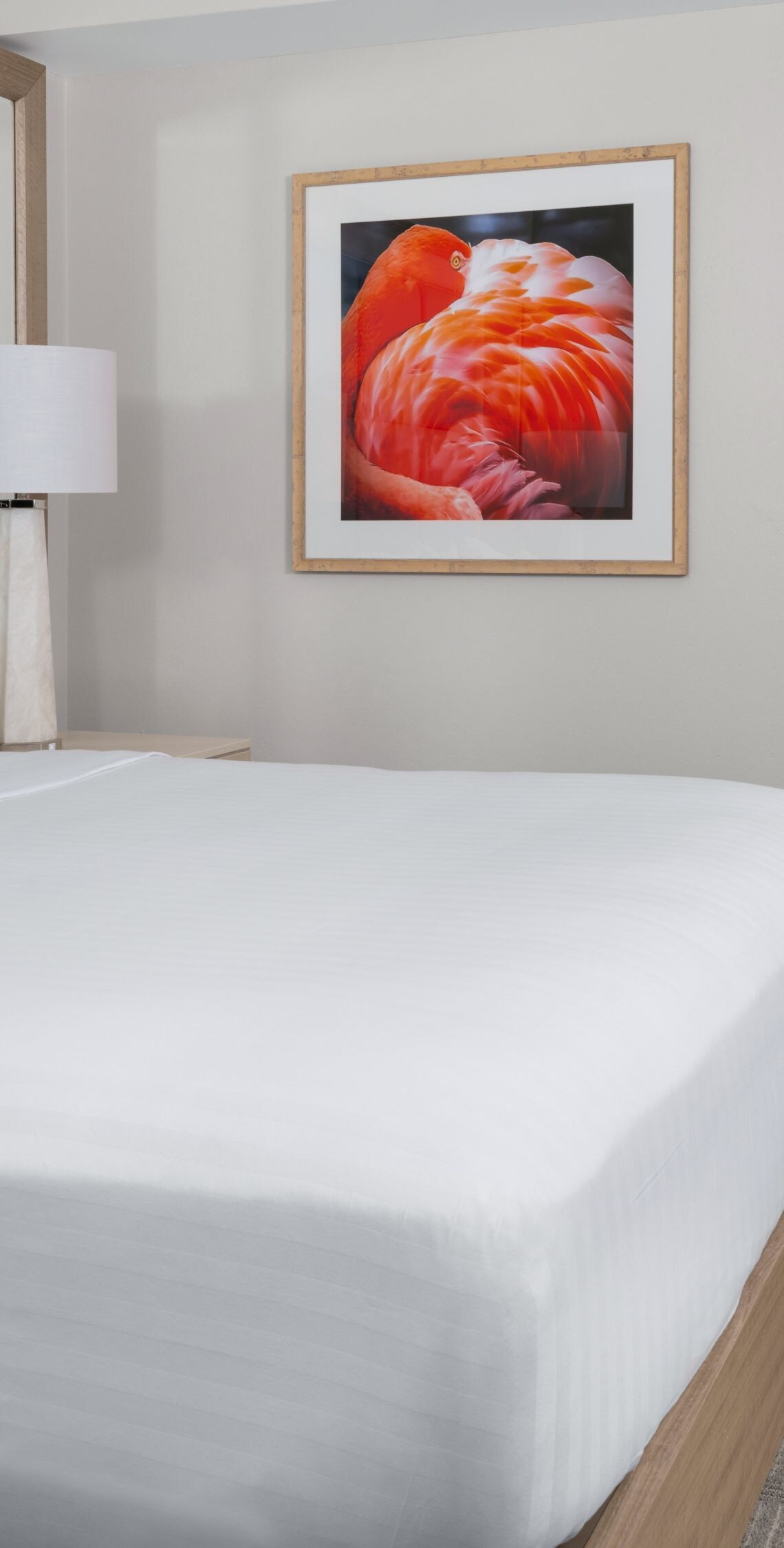 1 Bedroom Suite