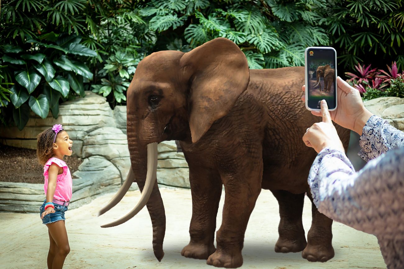 Child standing in front of virtual elephant.