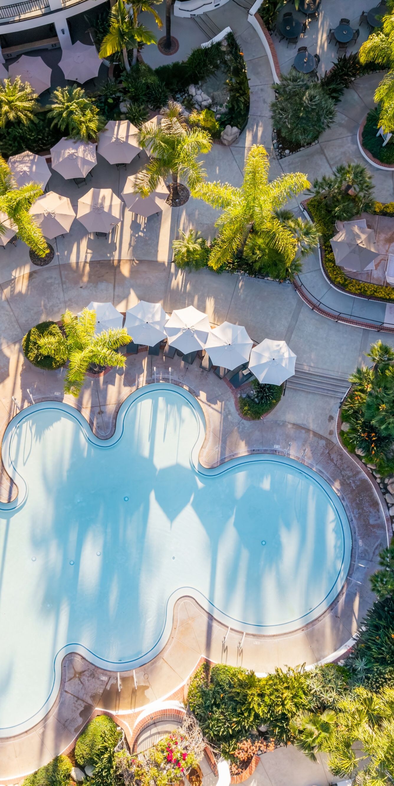mineral pools, spa buildings, palm trees, gardens