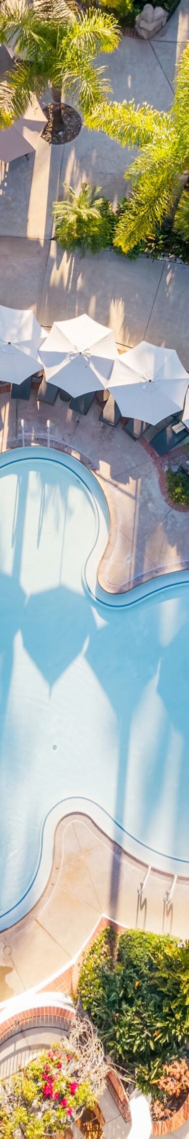 mineral pools, spa buildings, palm trees, gardens