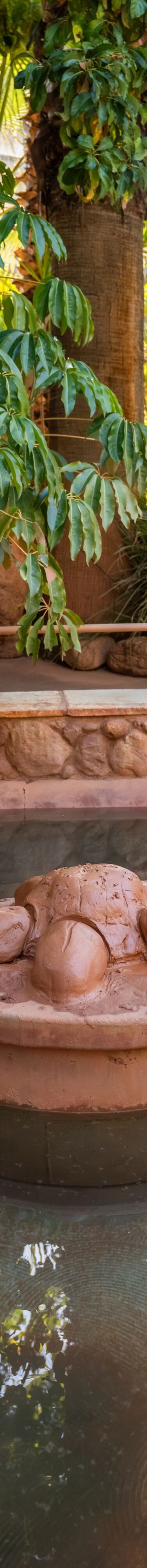 circular mud bath sits in a steaming mineral pool 