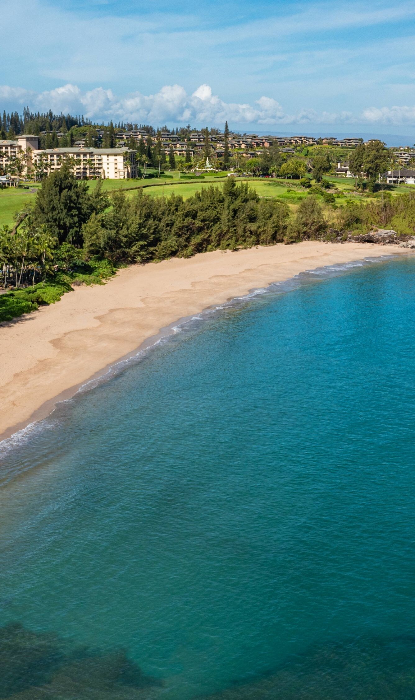 Beach Aerial View
