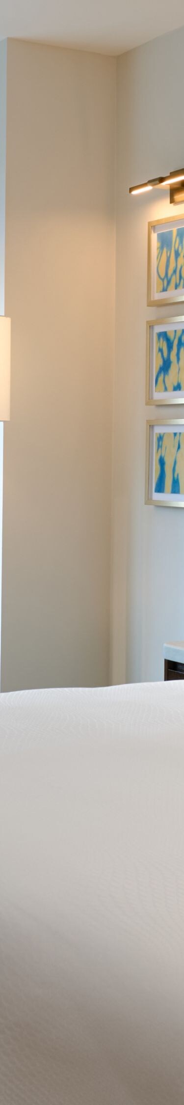 Mindful Deluxe King Guestroom