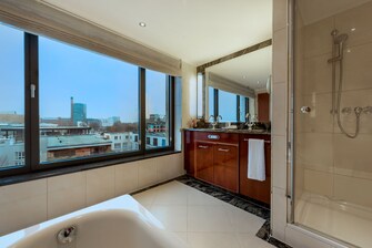 bathtub, shower, amenities, view