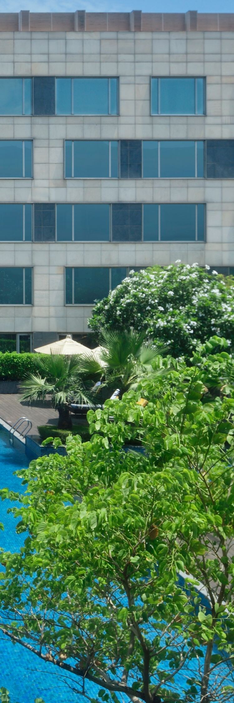 Pool and Spa New Delhi