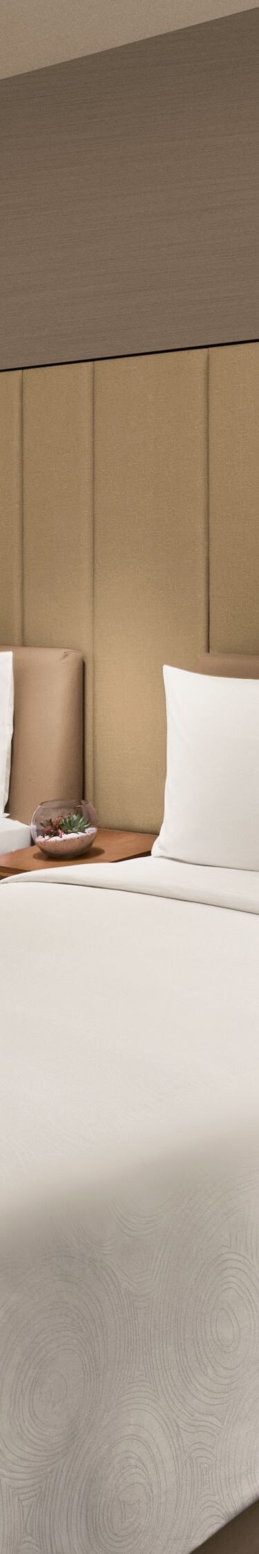 Executive Twin Room with Club Lounge Access
