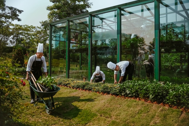 Our chefs are taking care of the garden at JW Gree