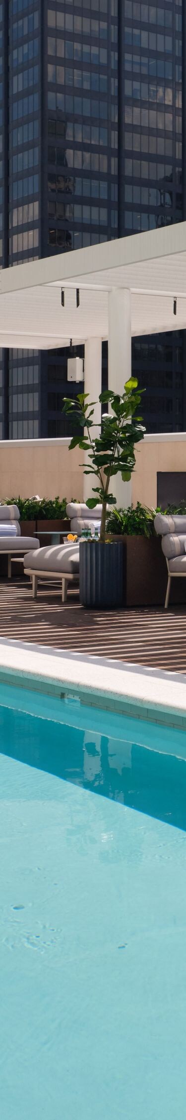 Rooftop pool with city skyline view