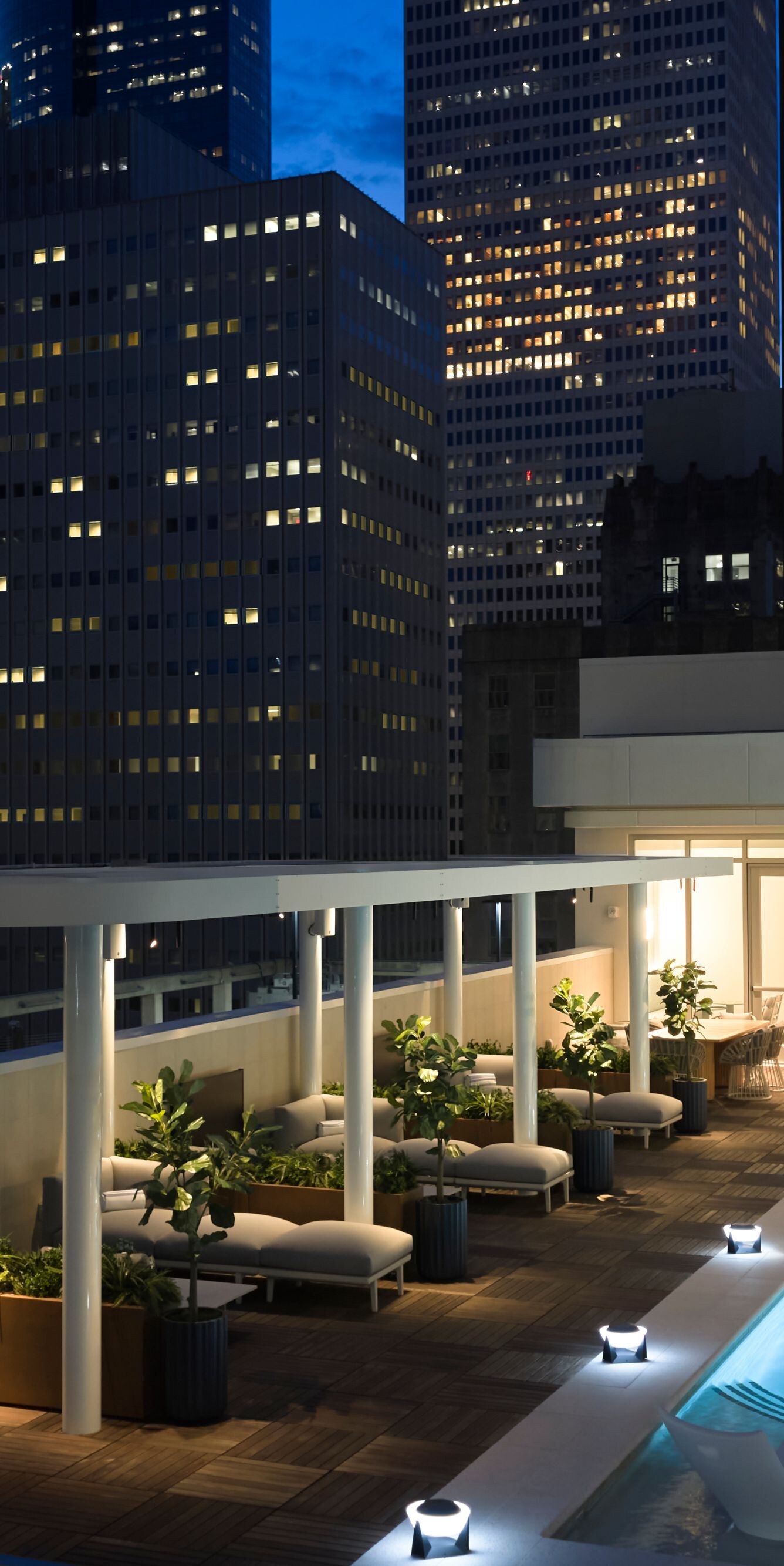 Rooftop pool with city skyline view