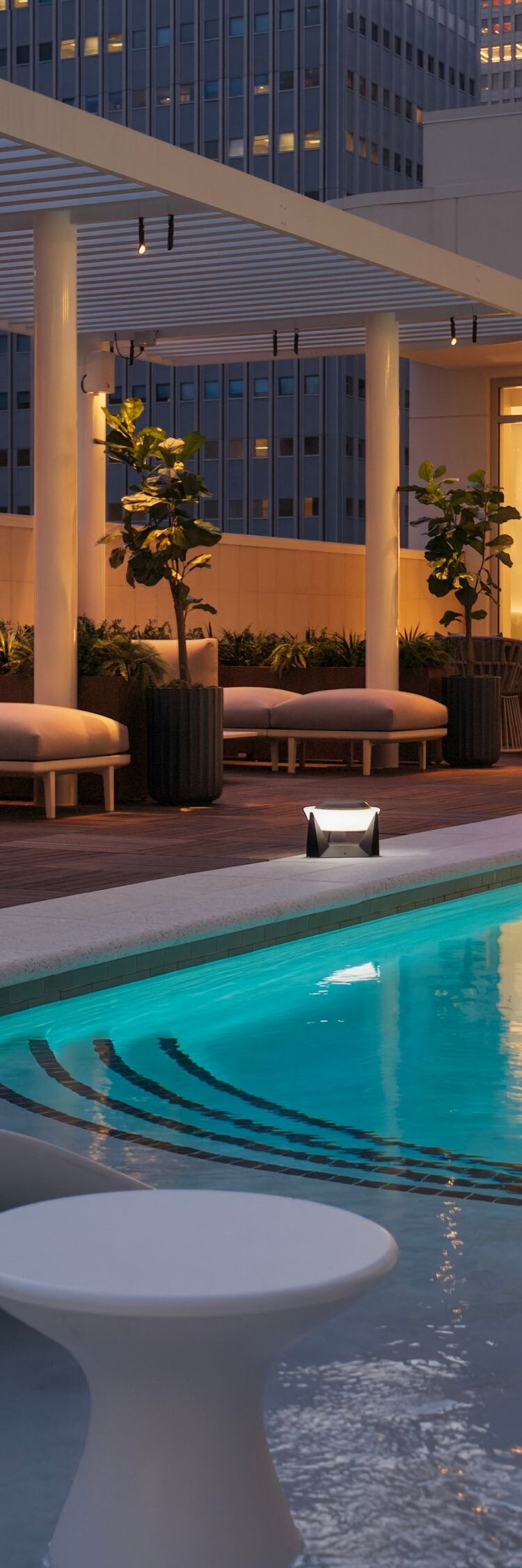 Rooftop pool with city skyline view