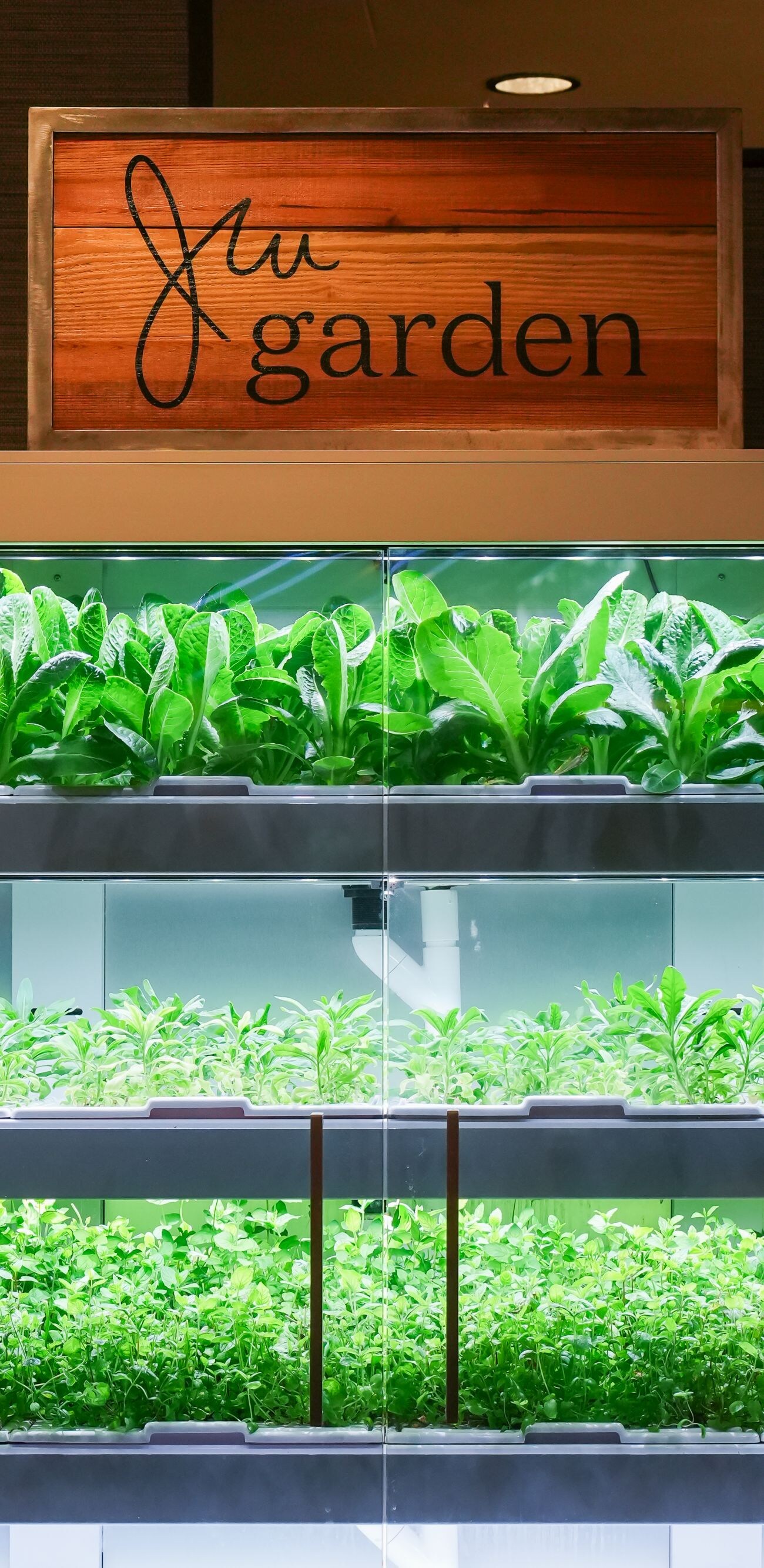 hydroponics