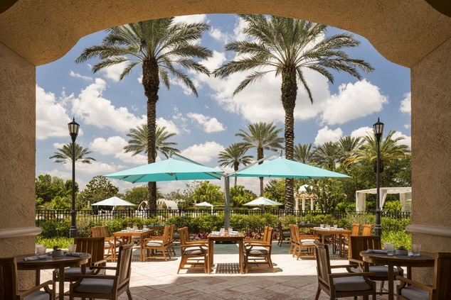 outdoor dining terrace with palm trees