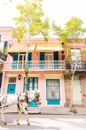 historic french quarter building with a horse in t