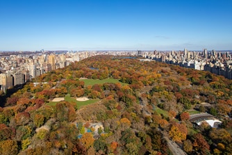 view of central park from JW