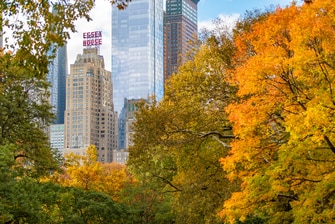 Image de Central Park