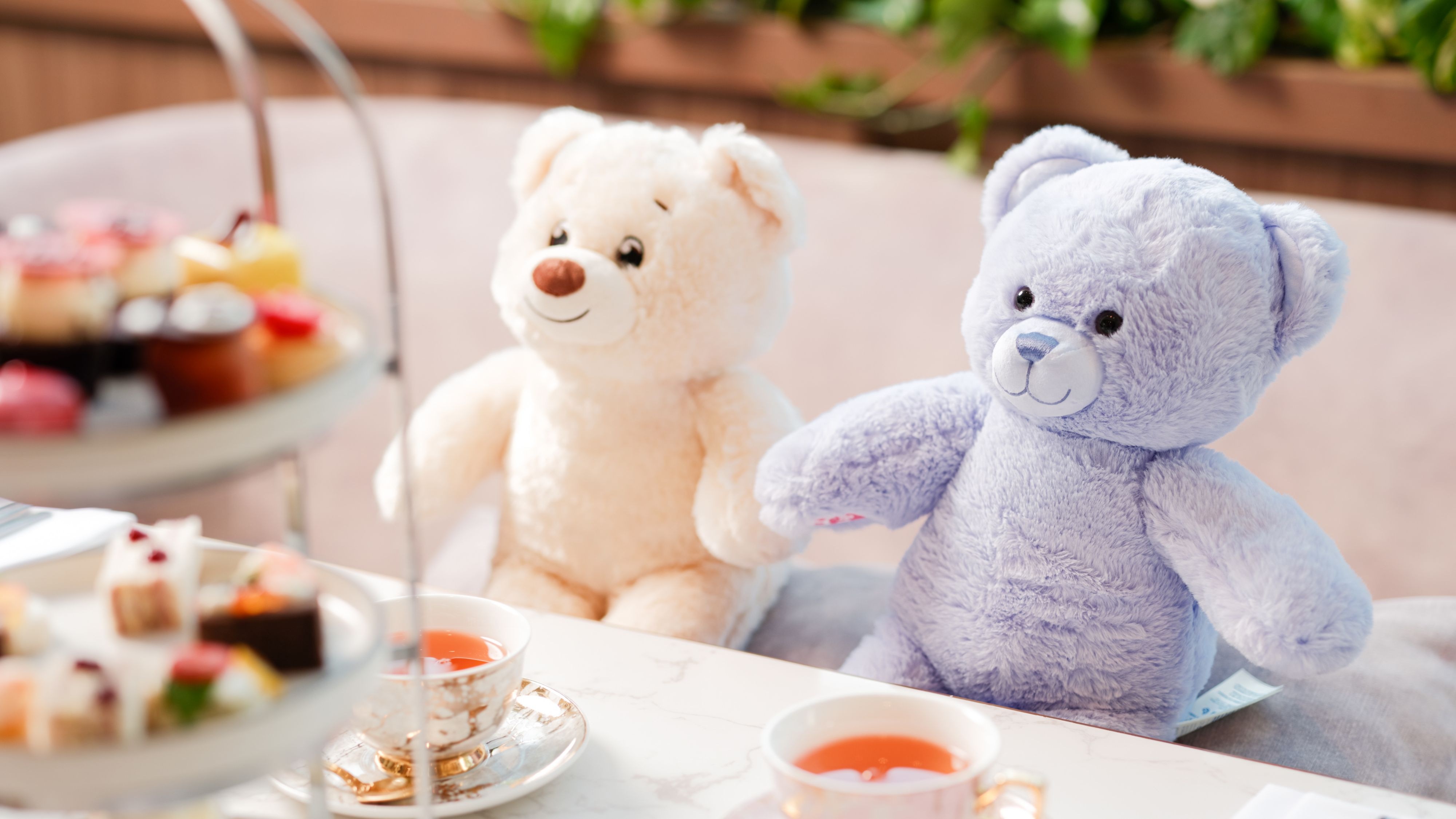 Teddy Bear High Tea Buffet