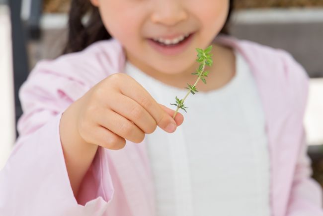 A child with a herb