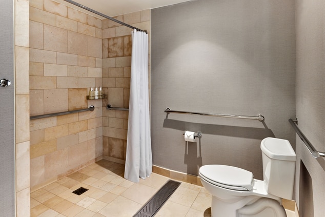 Bathroom with toilet, accessible roll-in shower 