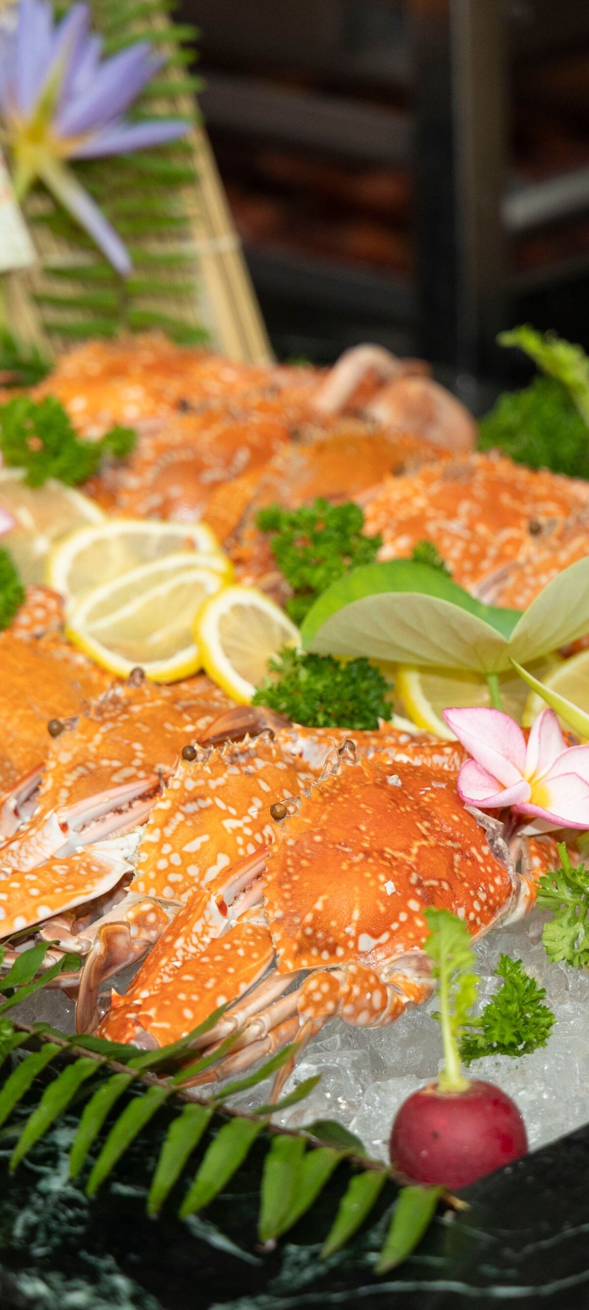 Premium fresh steamed blue crab