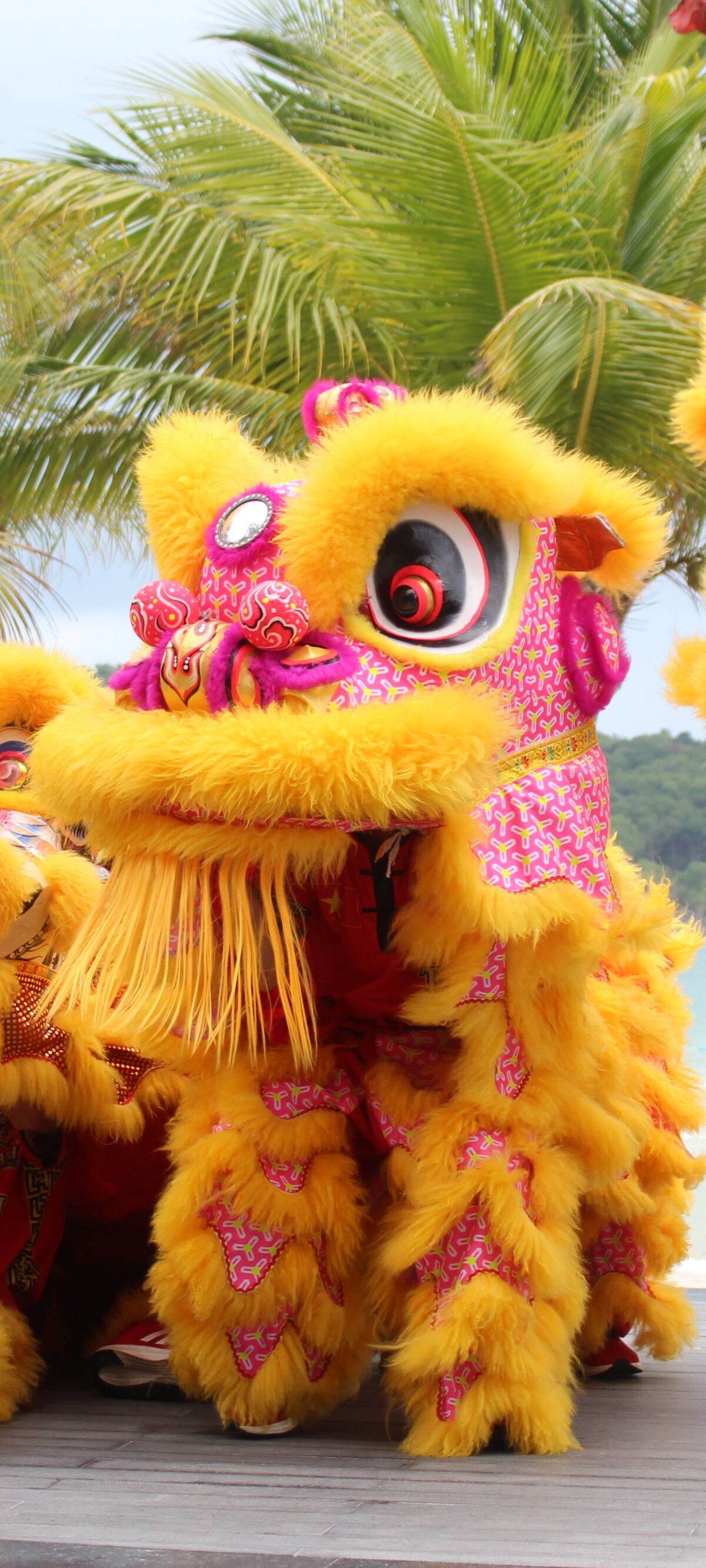 Traditional festive lion dance performance