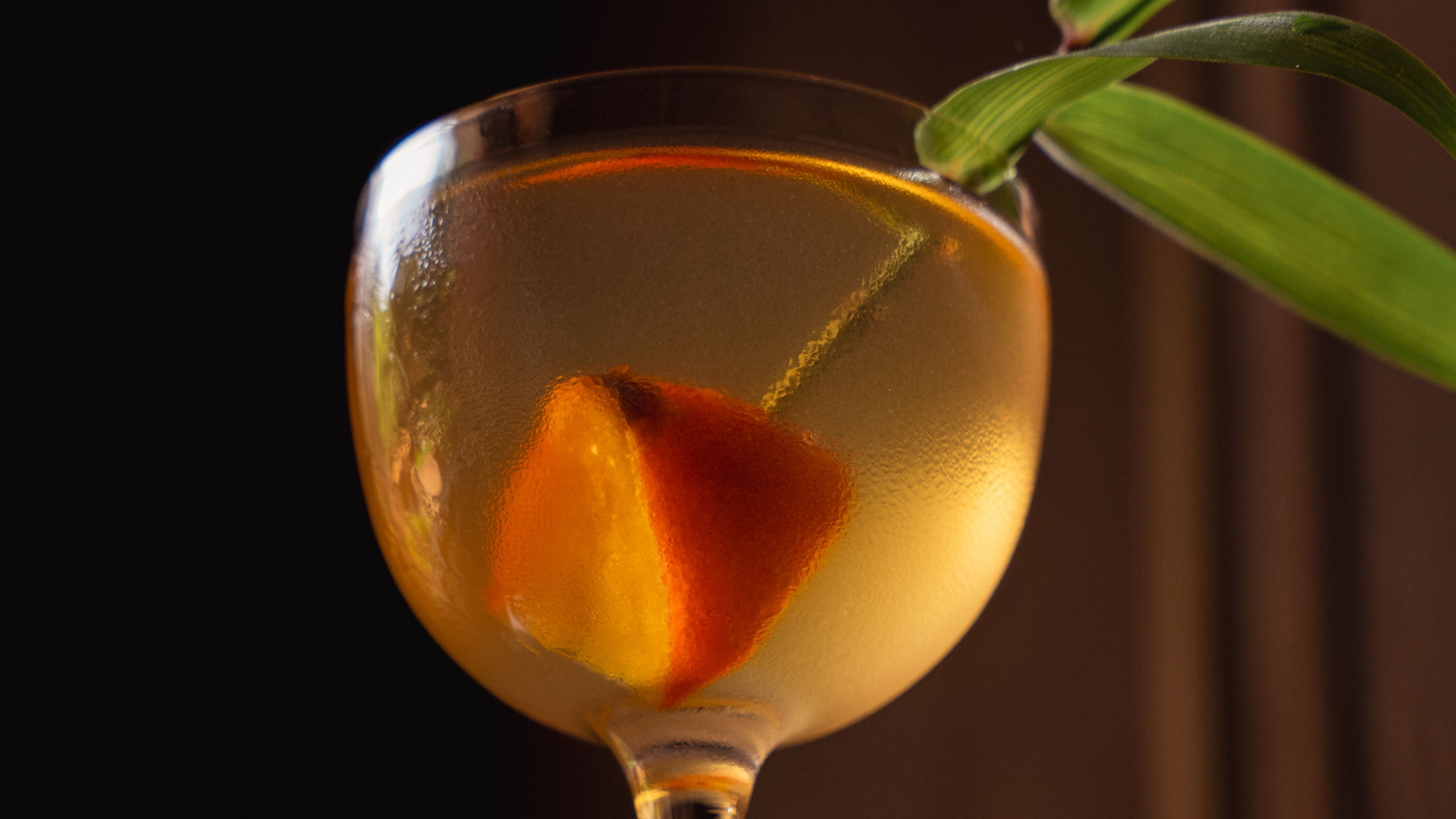 [F&B] Happy Hour - Pisco Hana