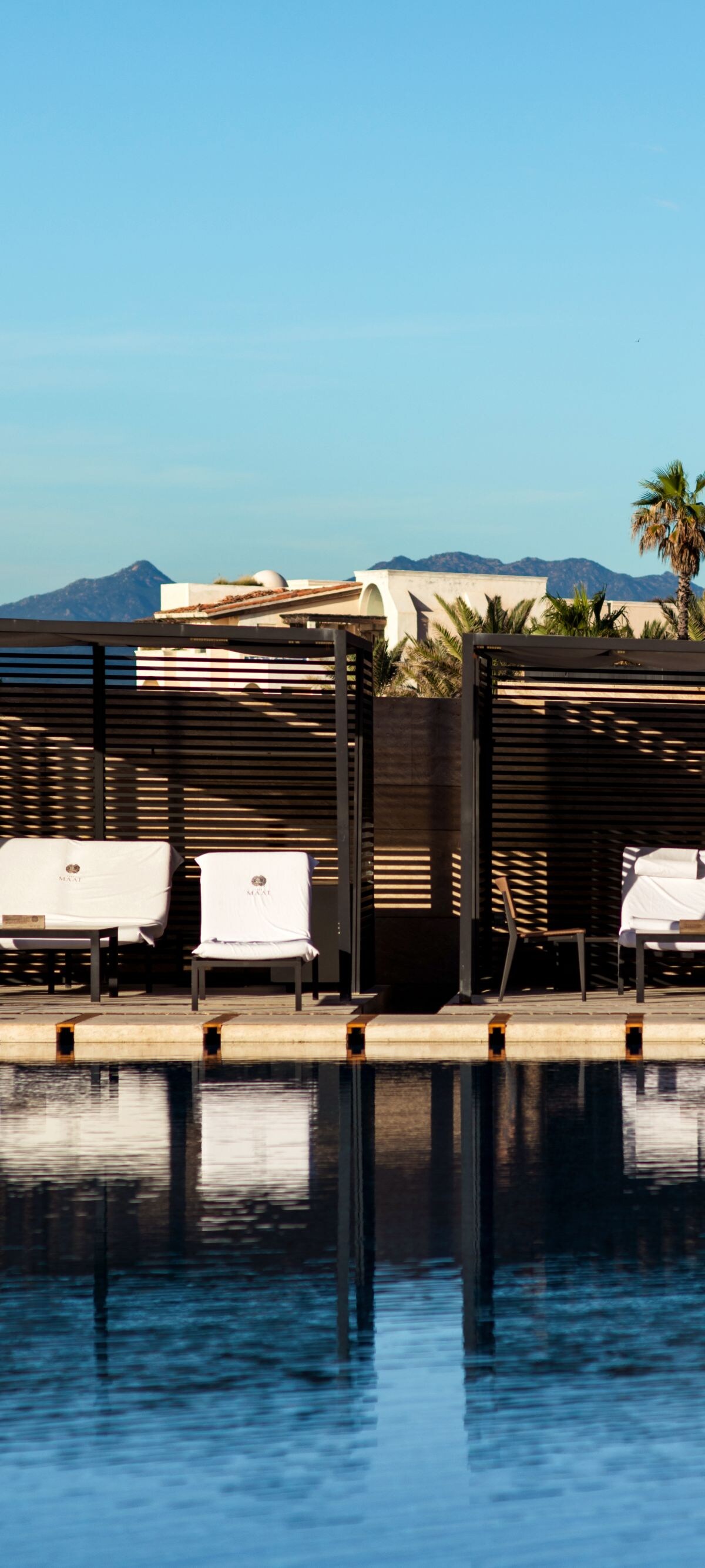 Pool with loungers and palm trees