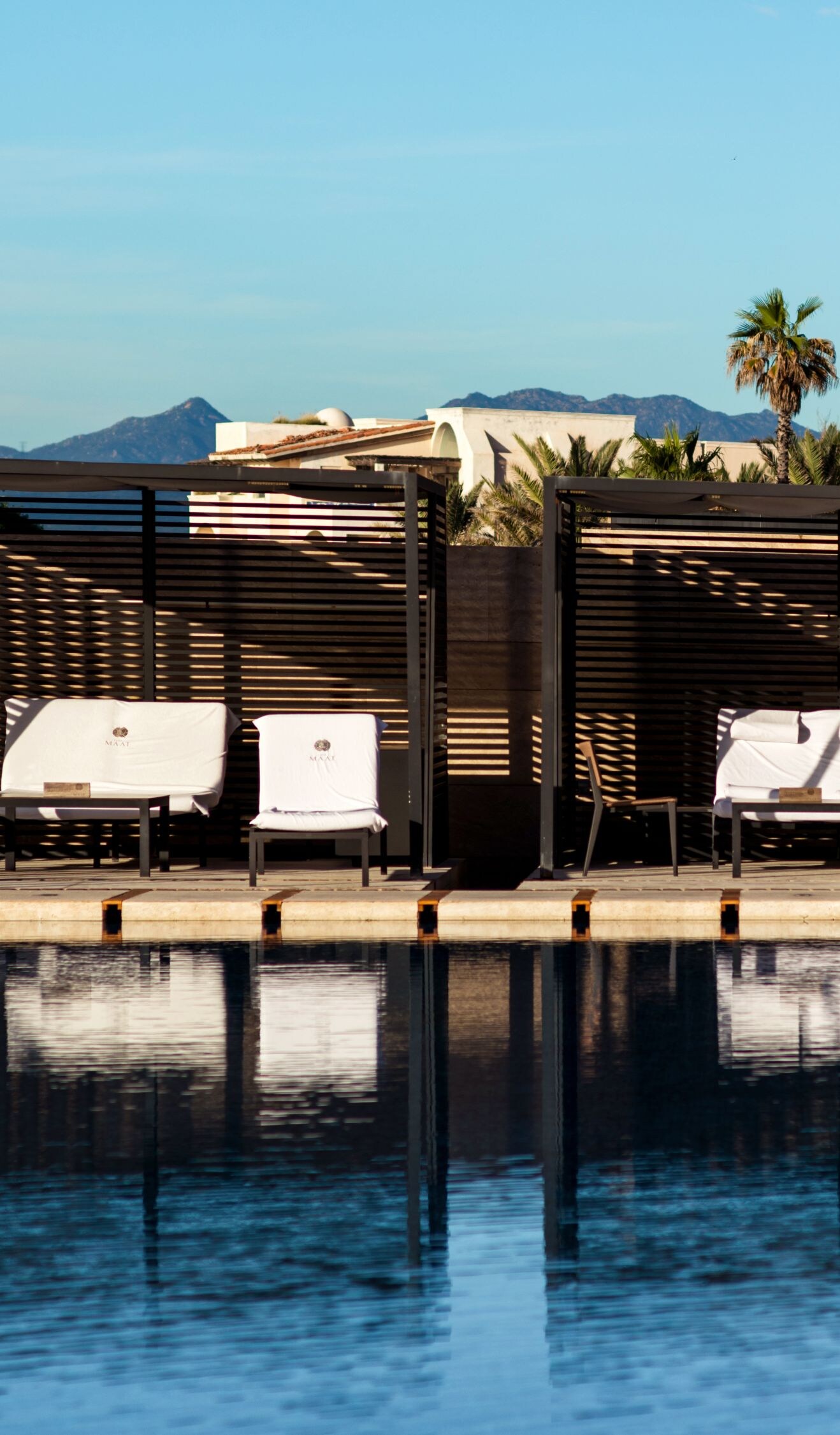 Pool with loungers and palm trees