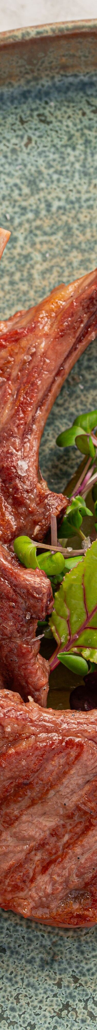 Grilled lamb chops with caponata and tzatziki