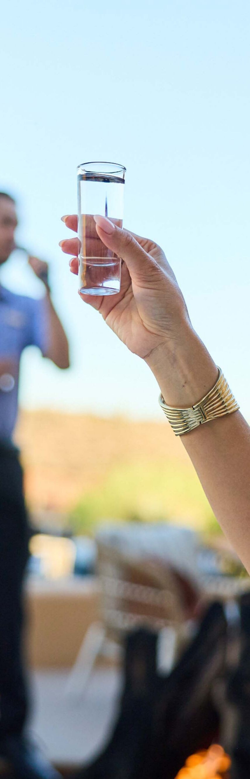 People clinking glasses outdoors