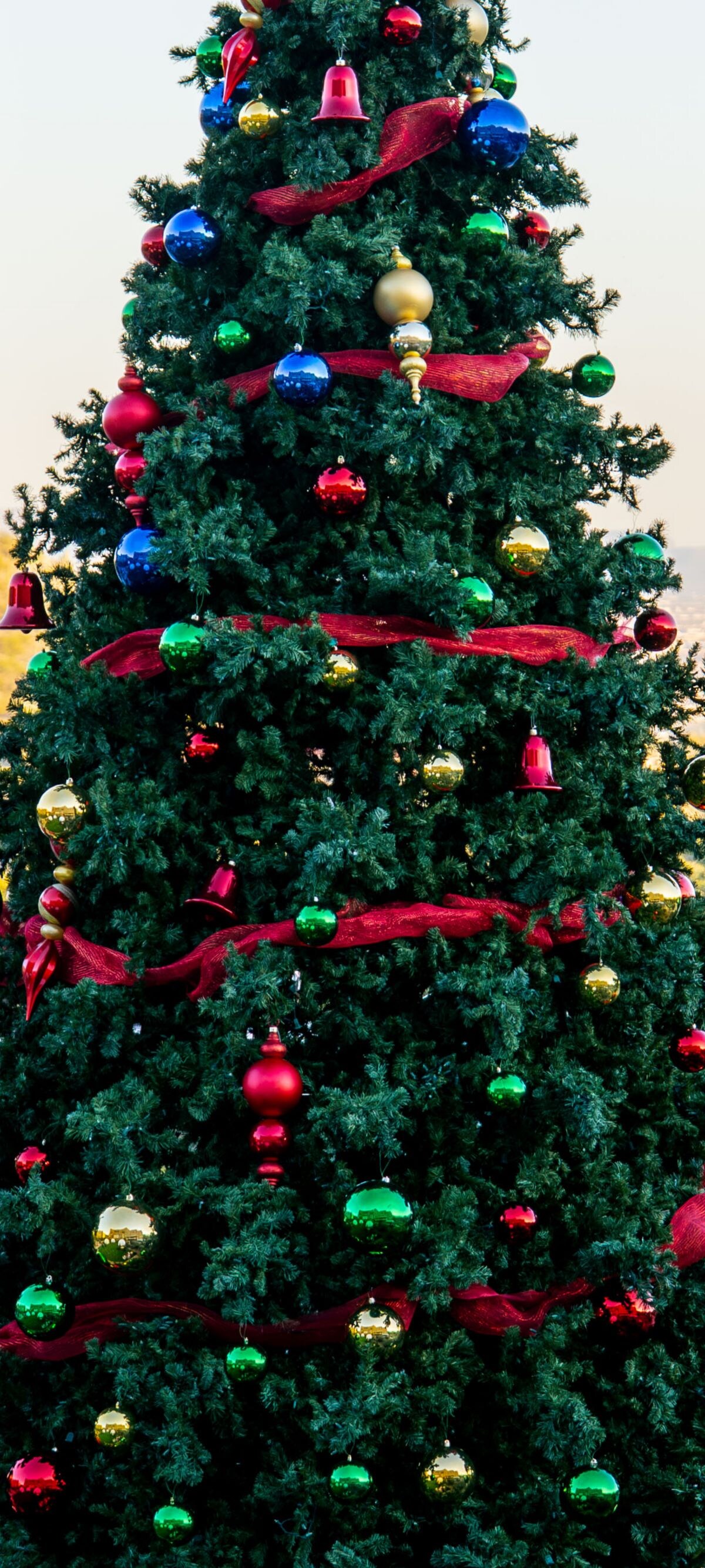 Christmas tree 