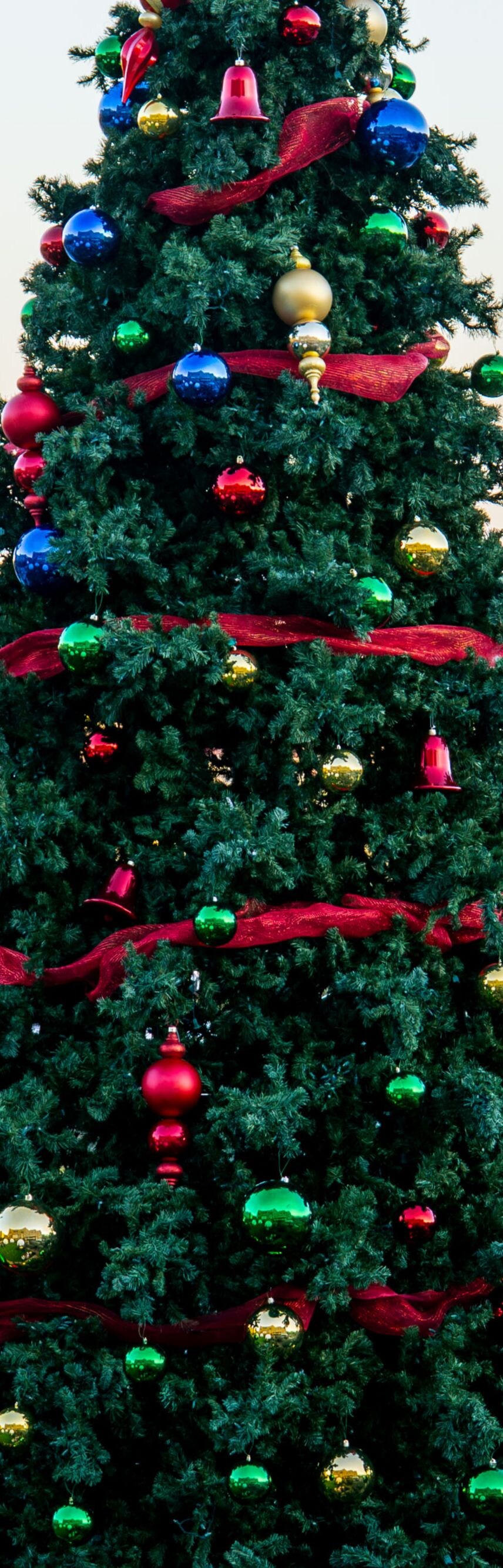 Christmas tree 