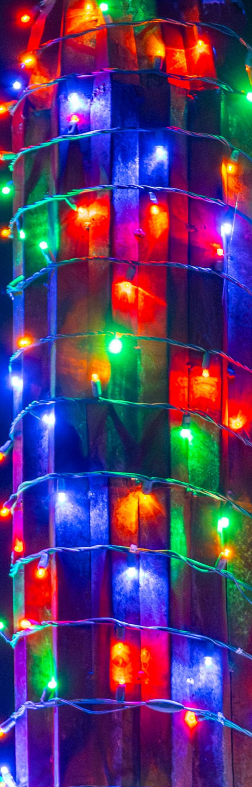 Festive holiday lights 