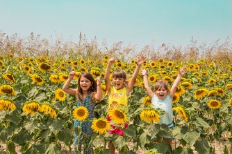 Kids outdoor Activities sunflower fun flowers