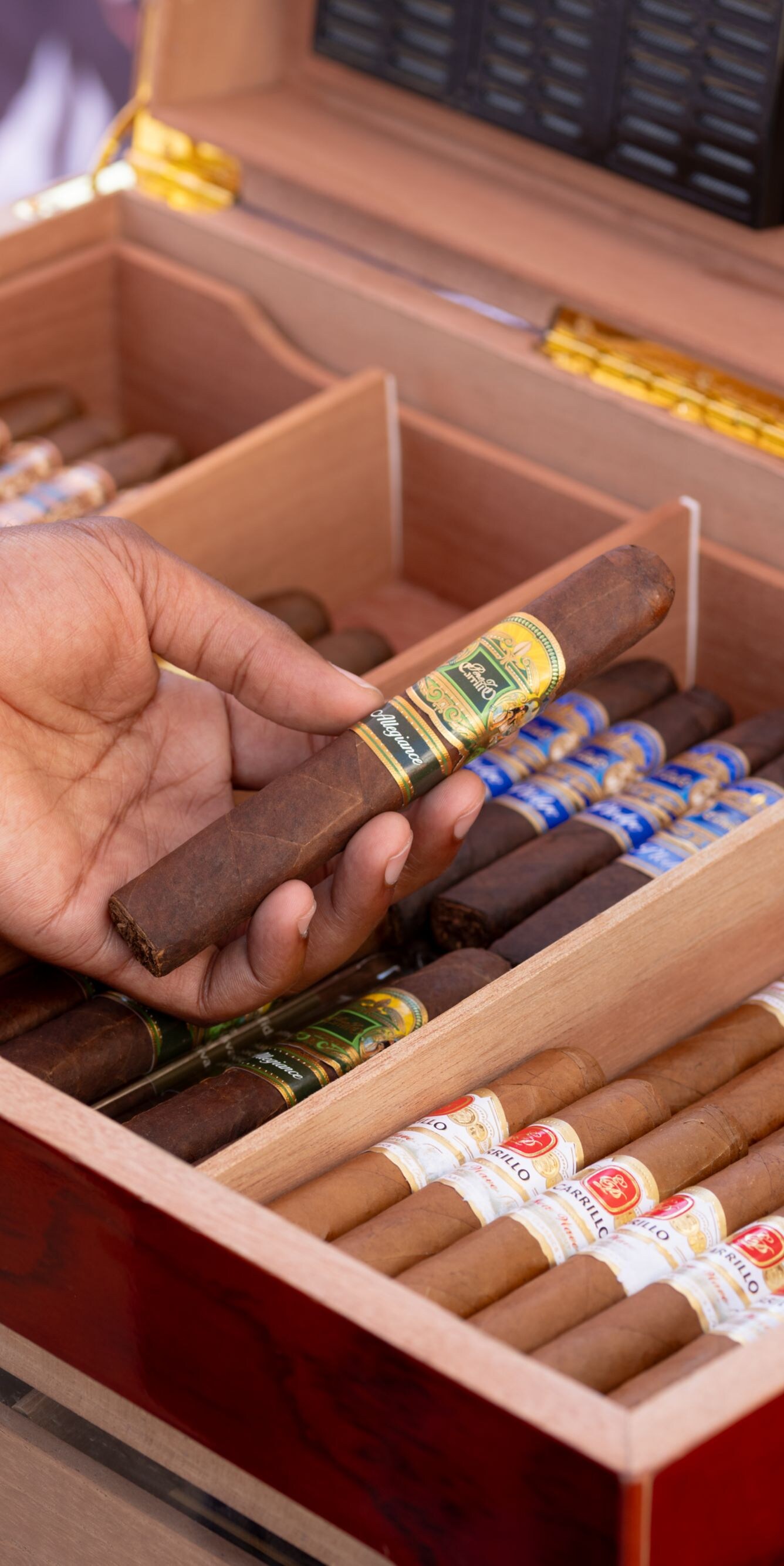 Hand holding a cigar above an open humidor 