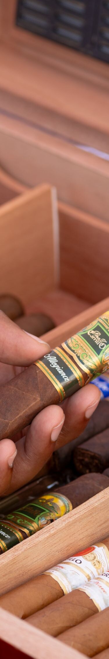 Hand holding a cigar above an open humidor 