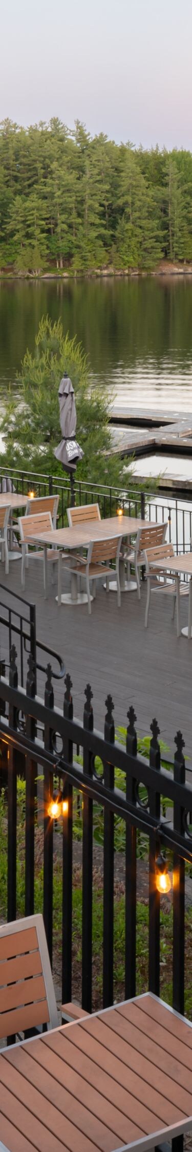 Outdoor terrace with lake and forest views