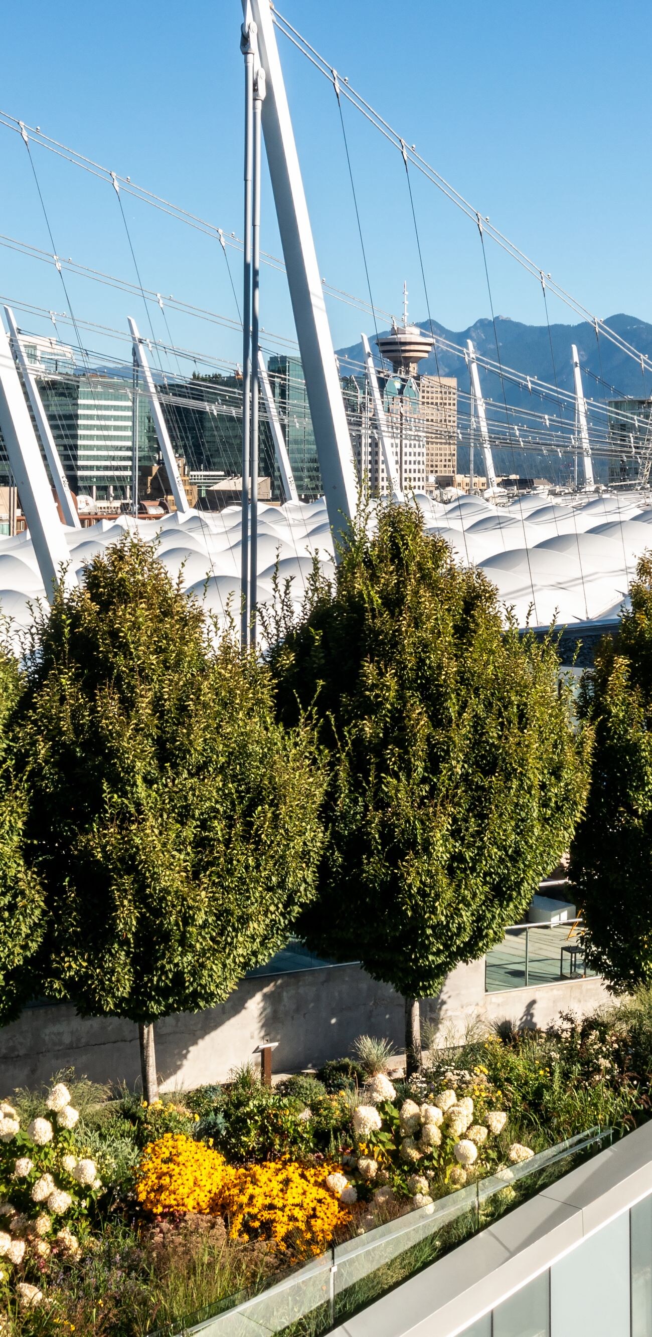 JW Garden on the Rooftop 