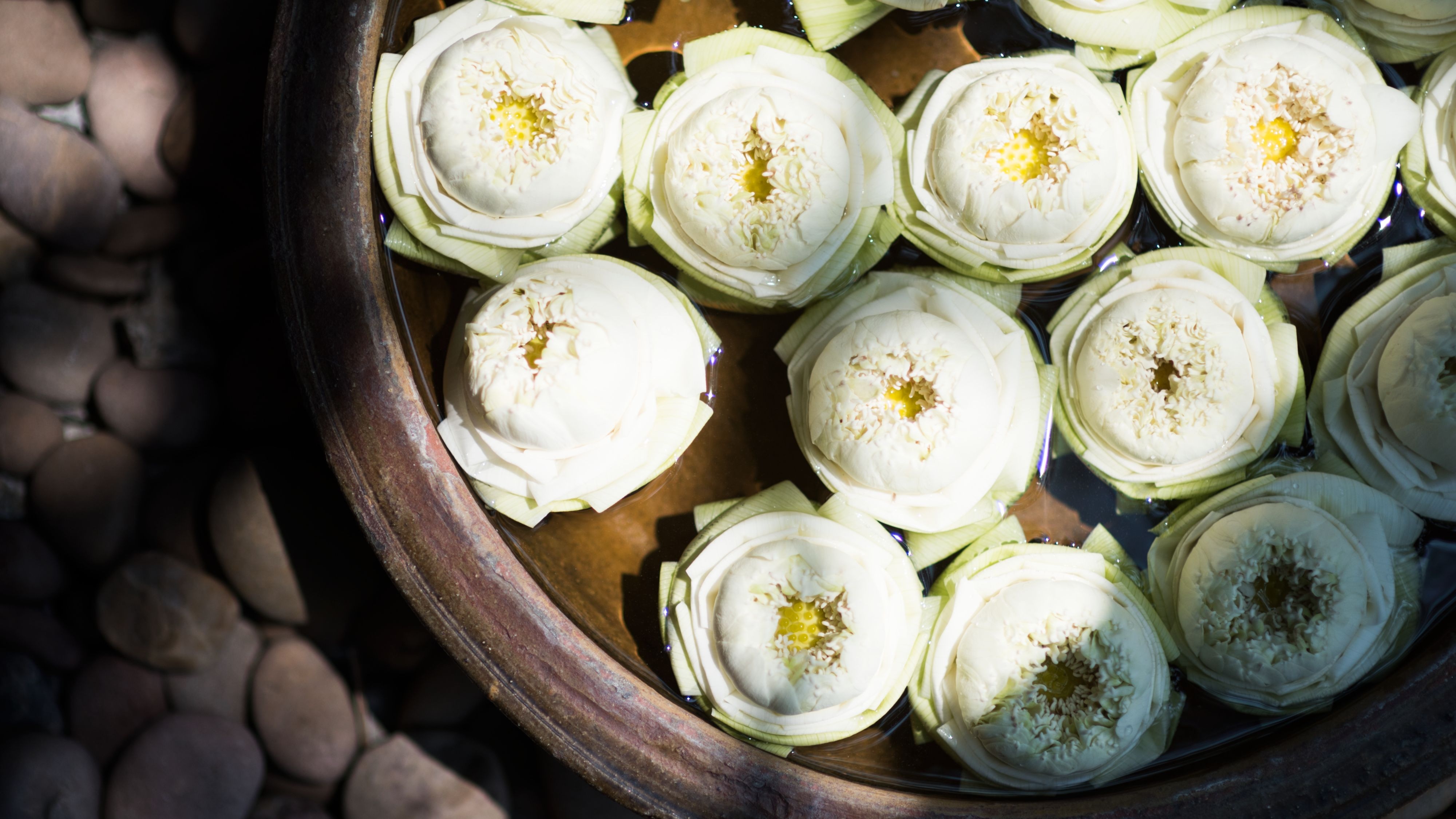 Signature Massage Rituals