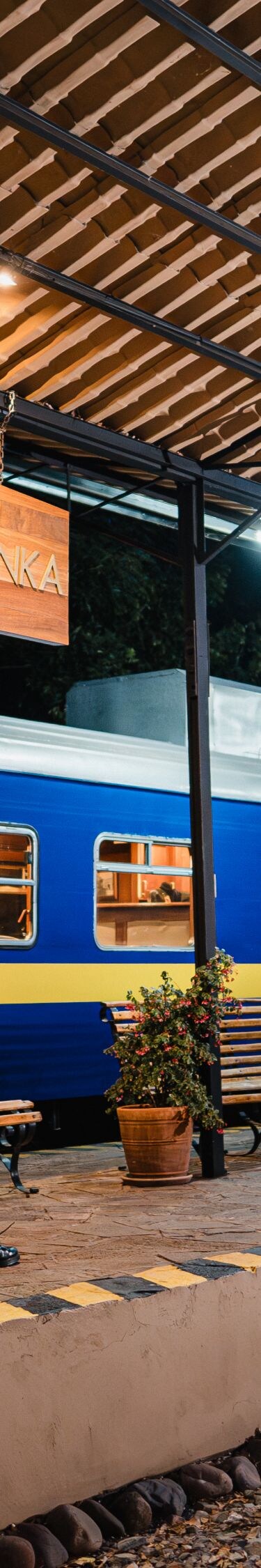 Train at private station