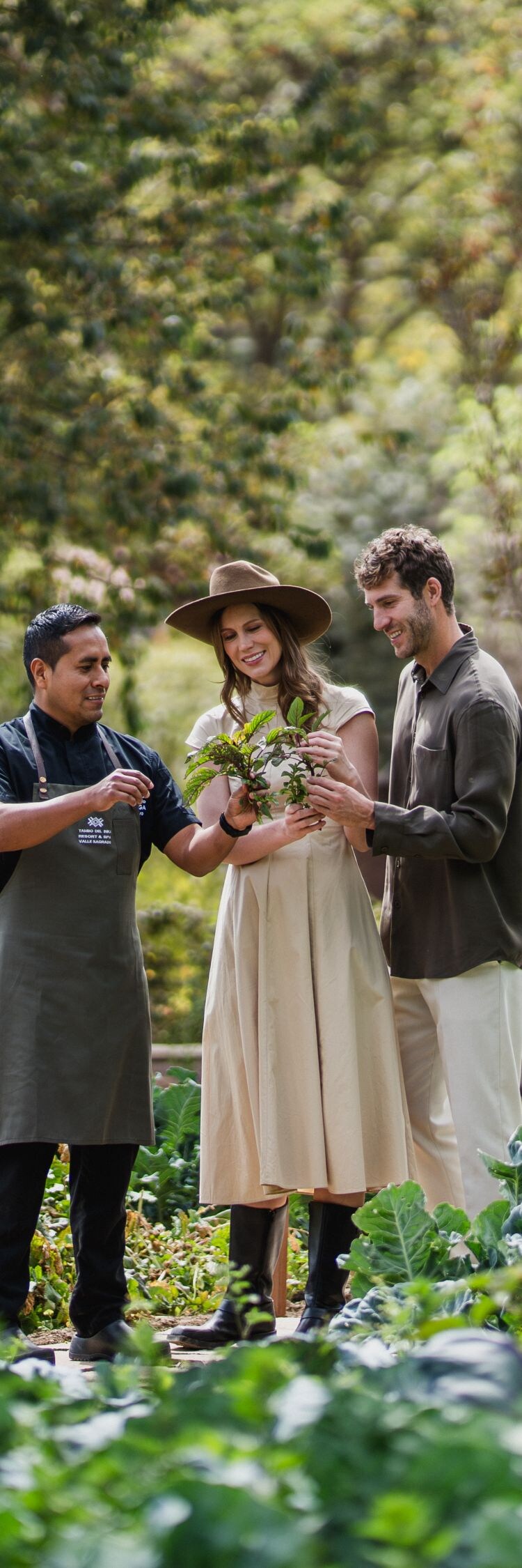 Organic garden experience