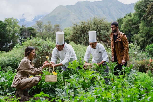 Chefs with guest harvesting the organic farm