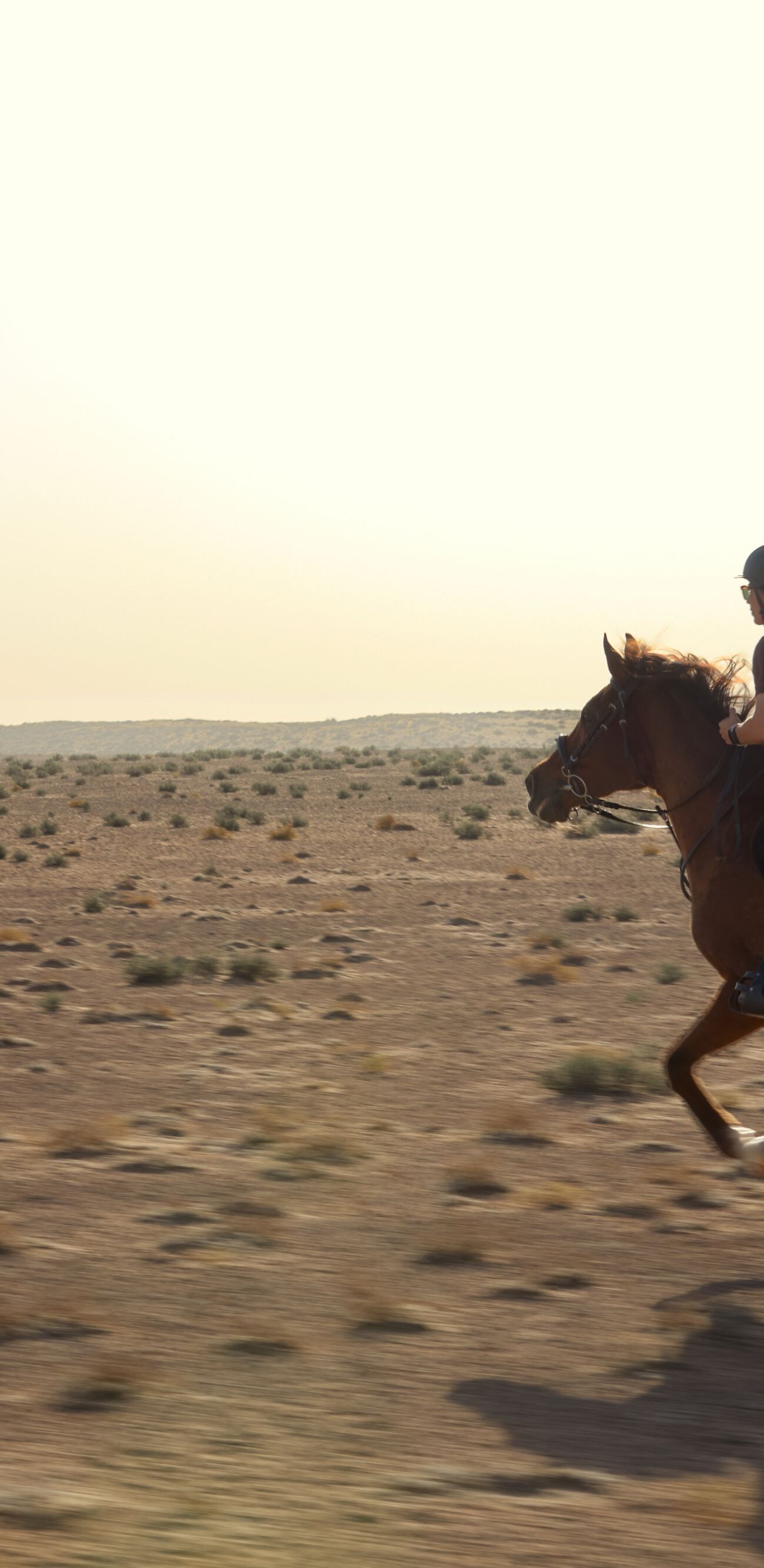 Horse Riding Activity Experience 